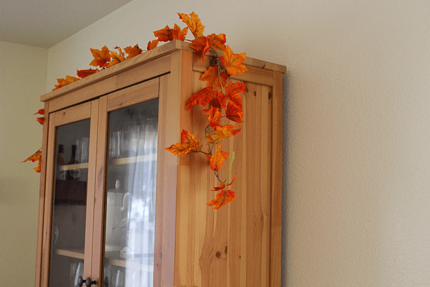 6b449135-7d53-45e9-9db4-0294bdad3965